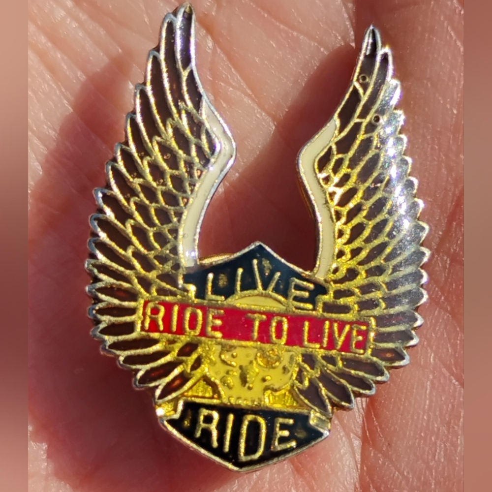 1980's Motorcycle Jacket Lapel Pin Wings, & Skull Live to Ride Enamel Bikercore